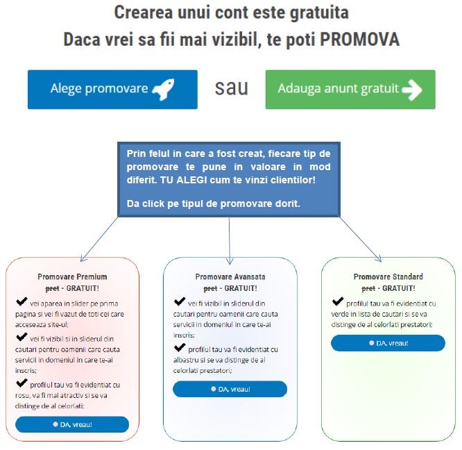 Exemplu alege promovare