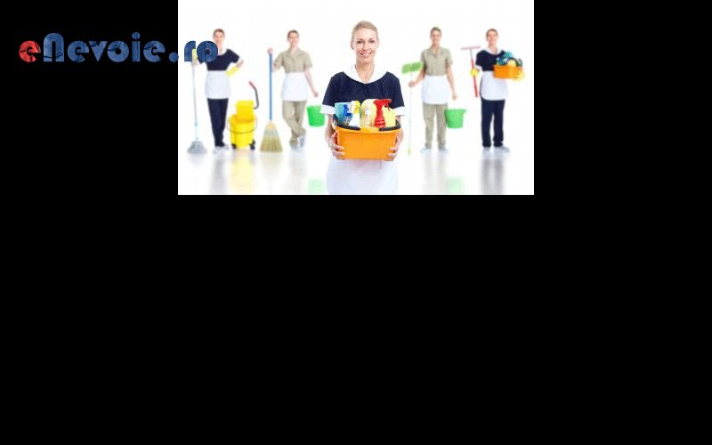 Imagine din portofoliu de lucrari