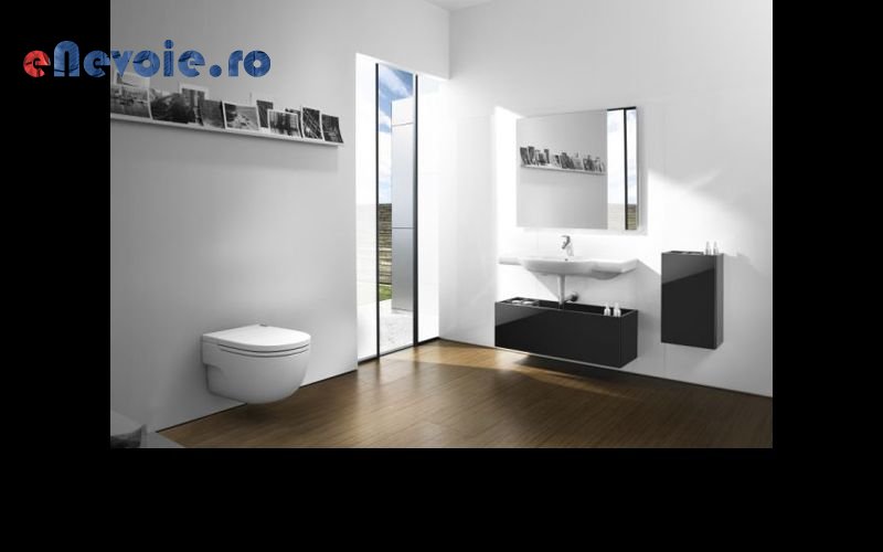 Imagine din portofoliu de lucrari