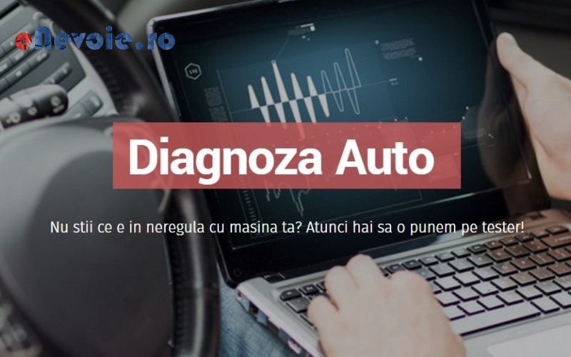 Imagine din portofoliu de lucrari