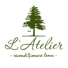 Avatar profil-utilizator/andrei-lazar-4559-3b/andrei-lazar-design-interior-casa-si-gradina--20181012161211.png