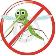 Avatar profil-utilizator/andrei-silviu-4690-e5/andrei-silviu-plasa-de-insecte-mobilier-si-tamplarie--20171221094519.png