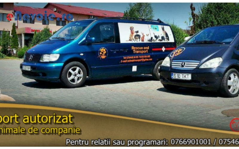 alte-servicii-alte-servicii-animaletransport-1001-3f1.png