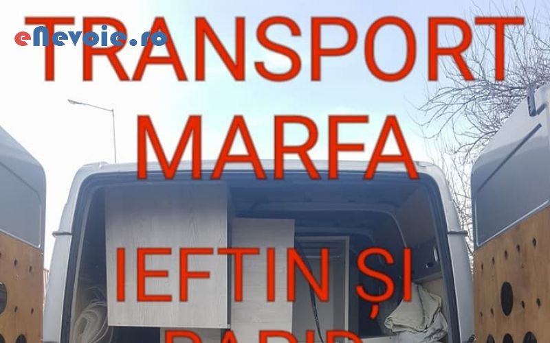 5servicii-mutari-transport-marfuri-transport-depozitare--catalin-nicu-.png