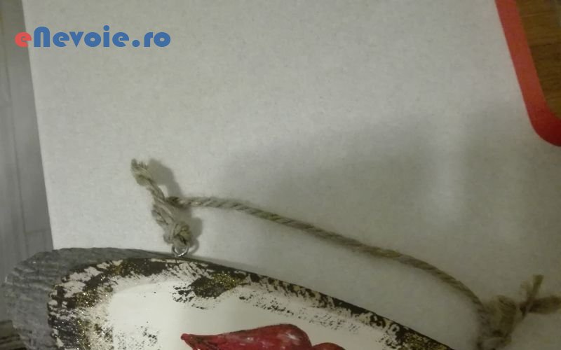 1pictura-desene-portrete-aranjamente-si-decoratiuni-cadouri-personalizate-imbracaminte-handmade-accesorii-handmade-homemade-handmad-clara-tanasie.png