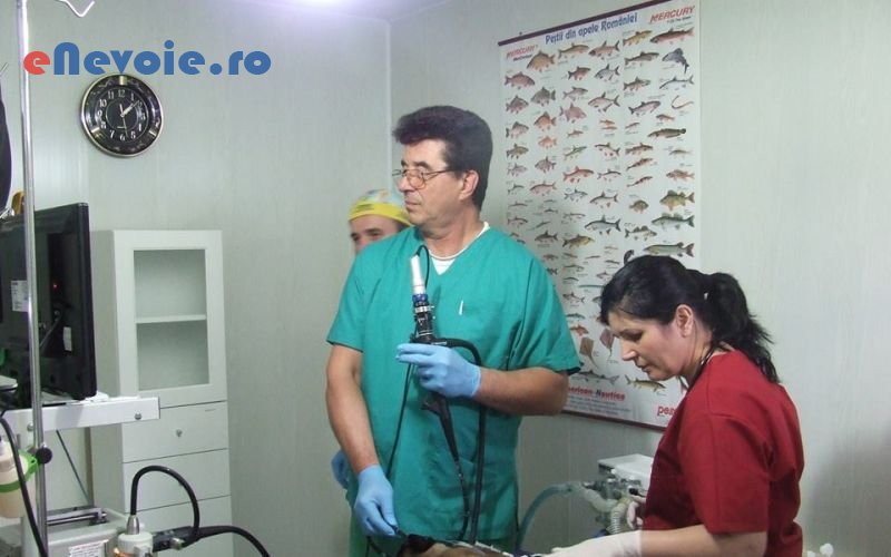 2clinica-veterinara-ingrijire-animale--cmi-dr-tanase.png