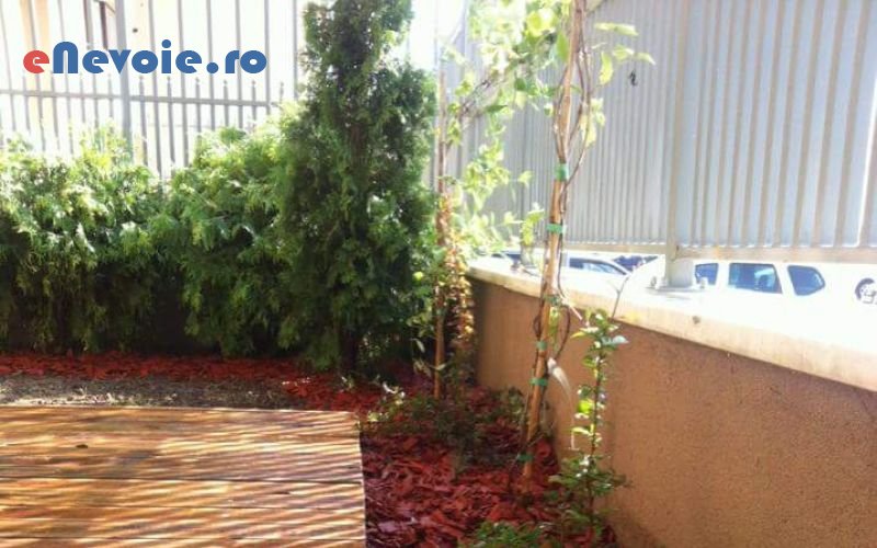 terase-gradina-amenajare-si-intretinere-spatii-verzi-casa-si-gradina--contact-6534-af2.png