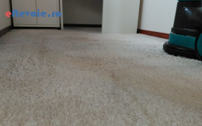 Imagine din portofoliu de lucrari