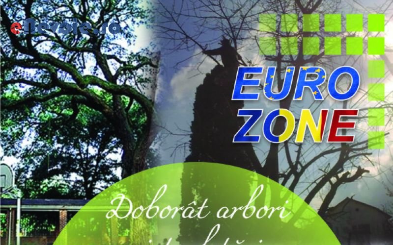 Imagine din portofoliu de lucrari