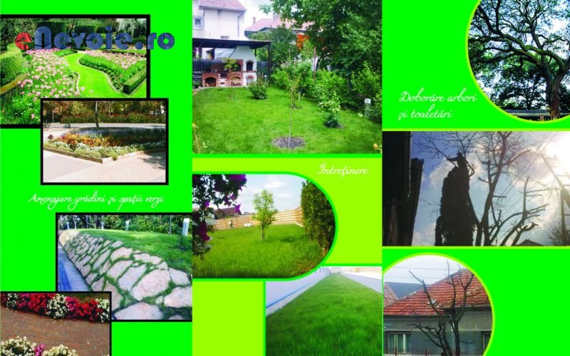 Imagine din portofoliu de lucrari