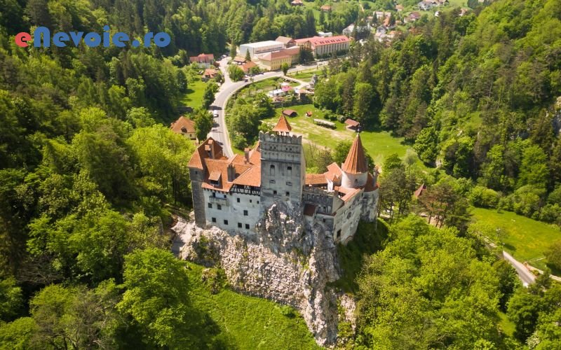 Imagine din portofoliu de lucrari