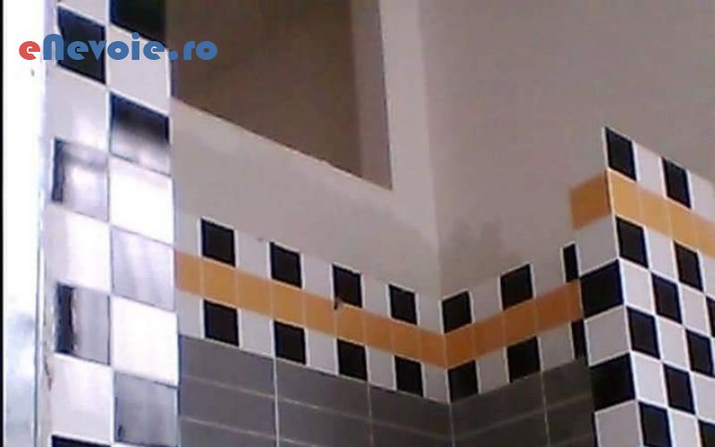 5amenajare-si-intretinere-spatii-verzi-montare-si-intretinere-parchet-design-interior-amenajari-exterioare-amenajari-interioare-cas-cristi-nedelcq.png
