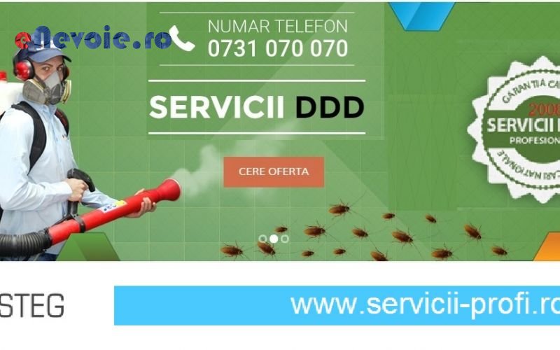 Imagine din portofoliu de lucrari