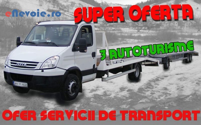 1servicii-mutari-transport-agabaritic-transport-basculabil-transport-marfuri-transport-depozitare--daniel-aldea-68.png