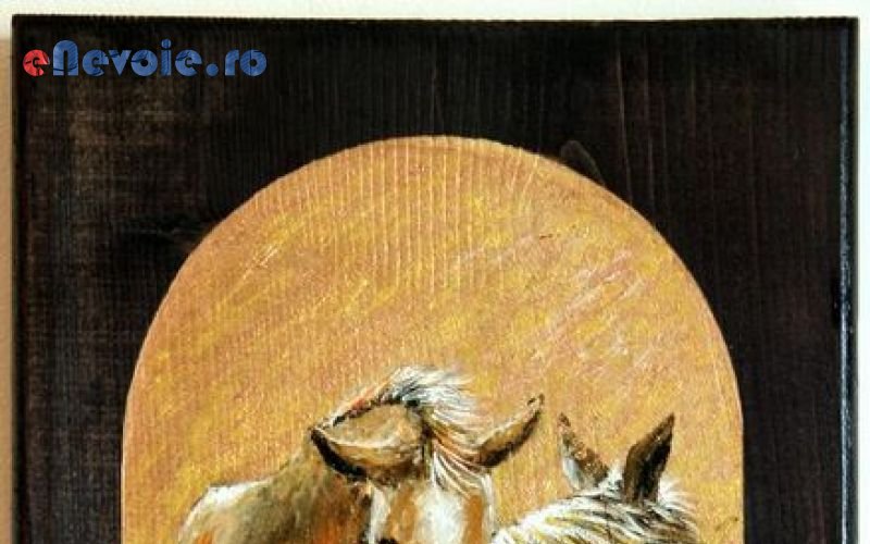 Imagine din portofoliu de lucrari