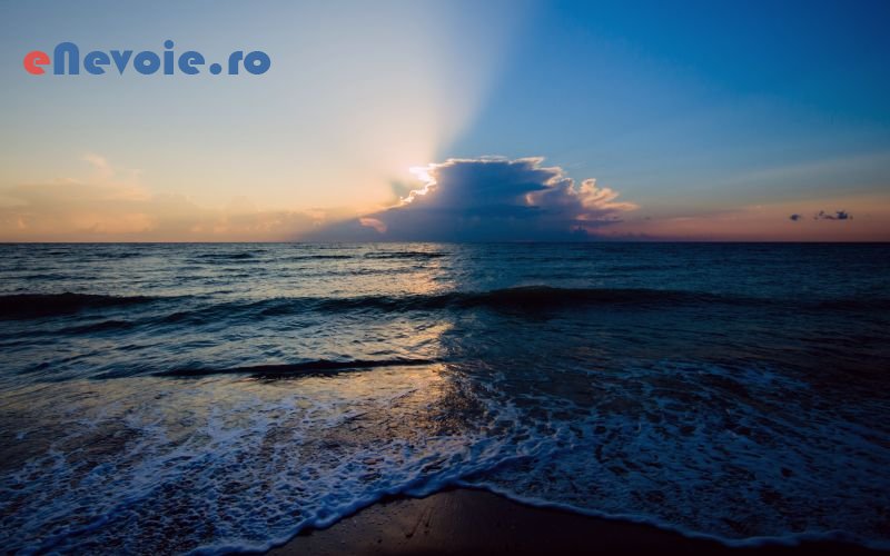 Imagine din portofoliu de lucrari