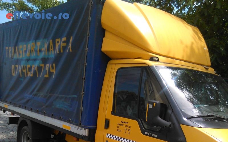 1servicii-mutari-transport-marfuri-transport-depozitare--dumitru-const.png
