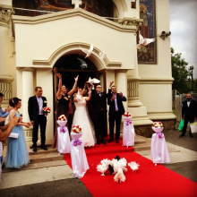 Avatar profil-utilizator/elegant-event-6146-37/elegant-event-servicii-catering-porumbei-nunta-fum-greu-gheata-carbonica-inchirieri-accesorii-evenimente-inchirieri-masini-evenime-20180701000256.png