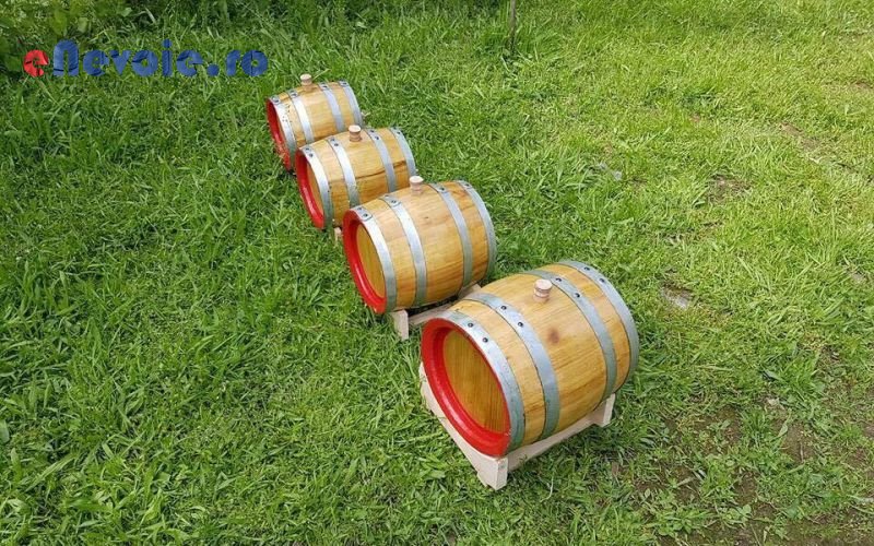 Imagine din portofoliu de lucrari