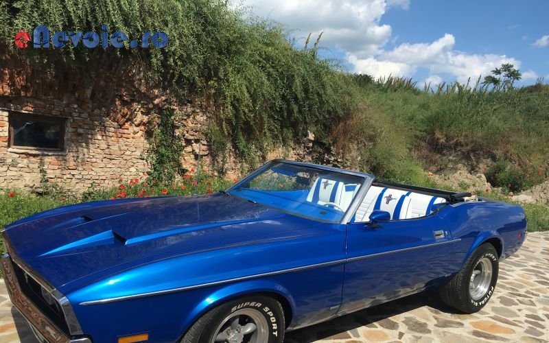 Imagine din portofoliu de lucrari