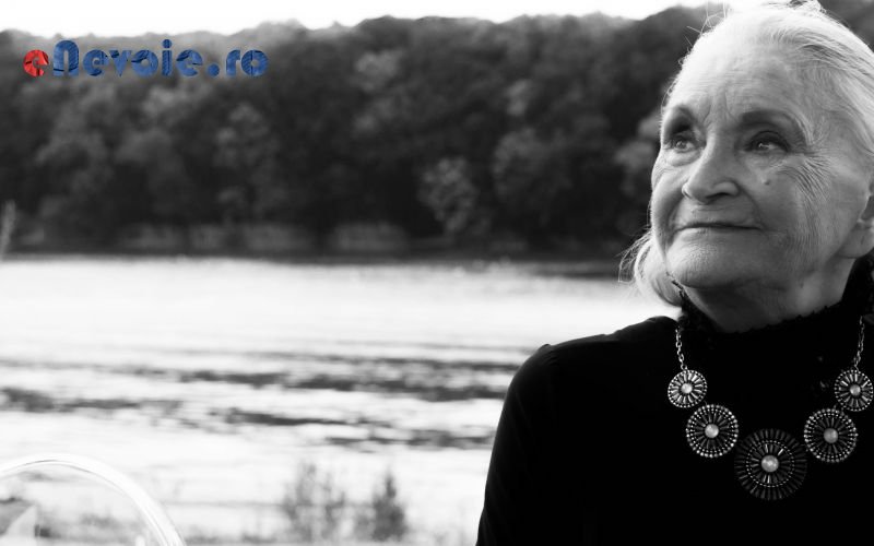 Imagine din portofoliu de lucrari