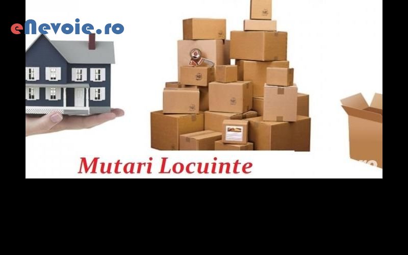 2servicii-mutari-transport-marfuri-transport-depozitare--flavius-catalin.png
