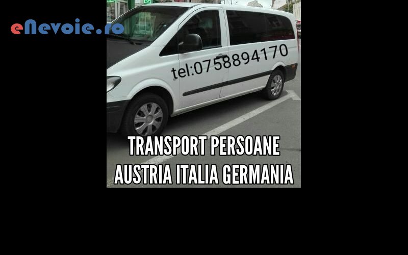 transport-persoane-transport-depozitare--florin-4170-841.png