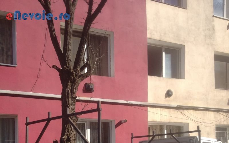 Imagine din portofoliu de lucrari