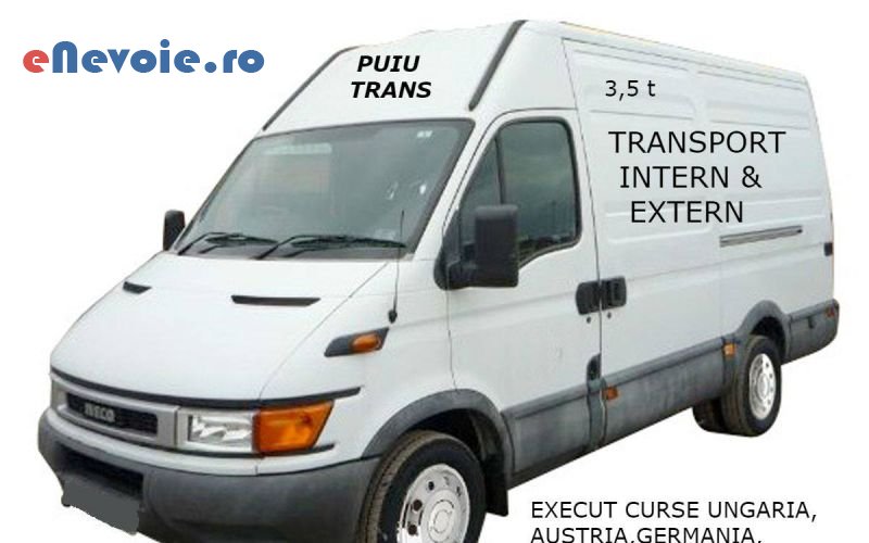 servicii-mutari-transport-marfuri-transport-depozitare--helmeseanu-pana1.png