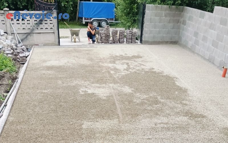 3montare-pavaj-amenajare-si-intretinere-spatii-verzi-curatenie-montare-si-intretinere-parchet-casa-si-gradina--ilie-mocanu-7.png