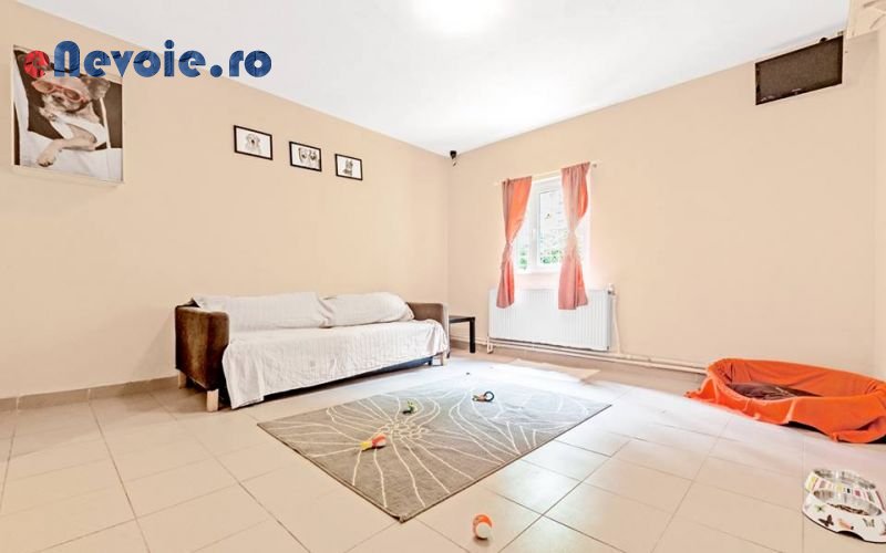 Imagine din portofoliu de lucrari