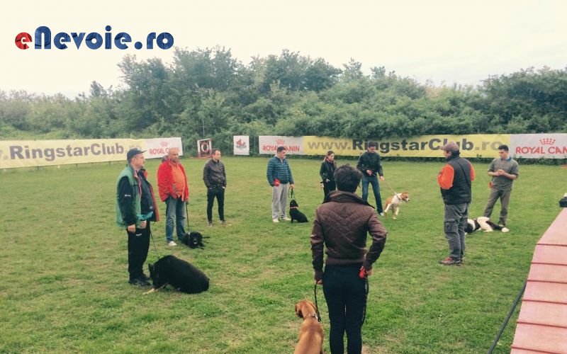 Imagine din portofoliu de lucrari