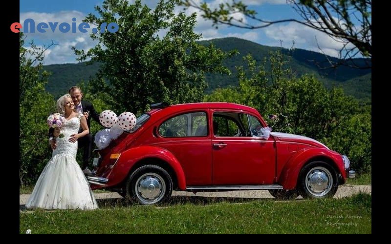 2inchirieri-masini-evenimente-organizari-evenimente--iulia-chende-.png
