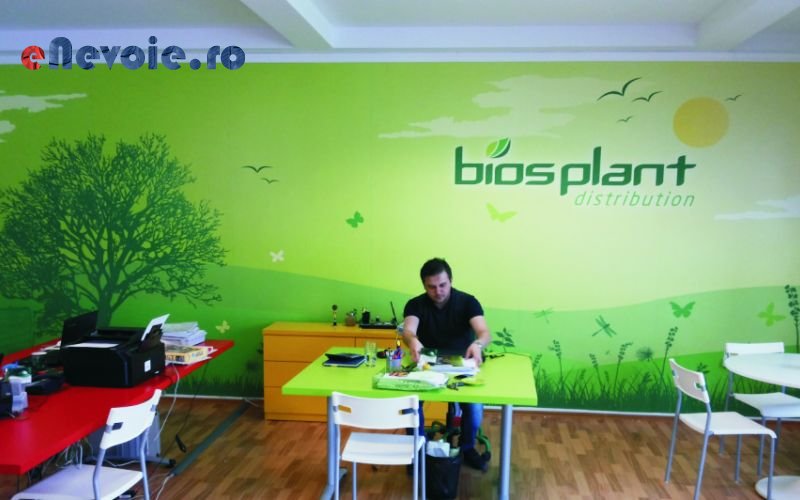 Imagine din portofoliu de lucrari