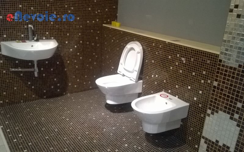 Imagine din portofoliu de lucrari