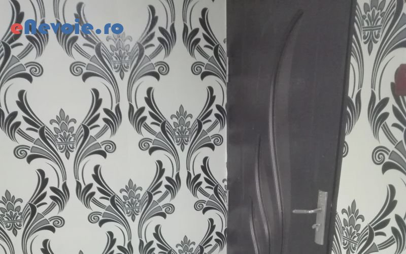 3amenajari-interioare-casa-si-gradina--lucian-ionut-.png