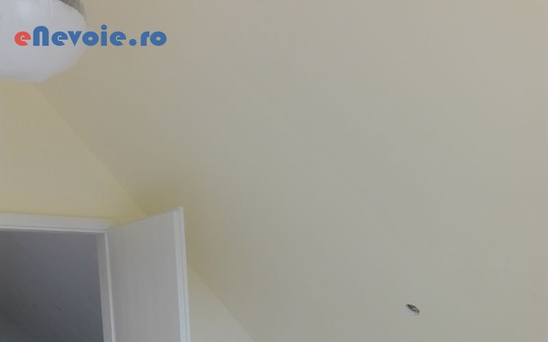 6amenajari-interioare-casa-si-gradina--lucian-ionut-.png