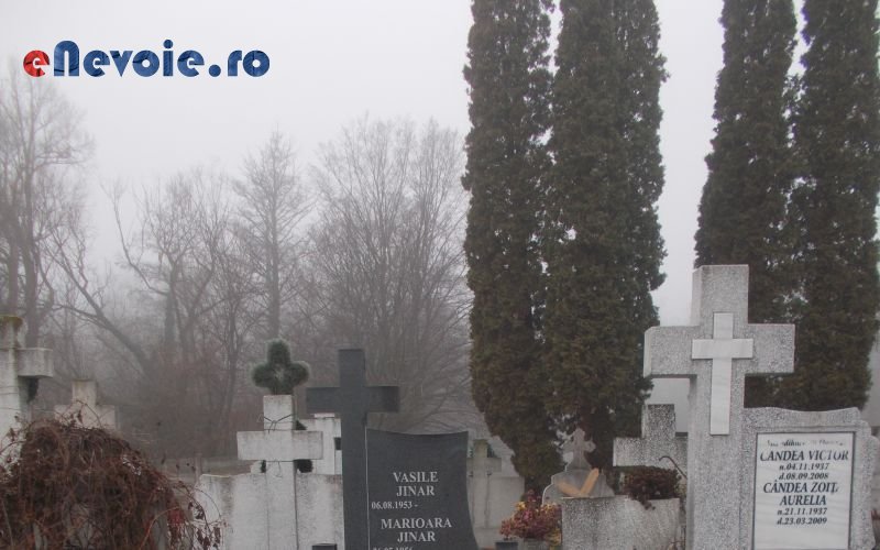 Imagine din portofoliu de lucrari