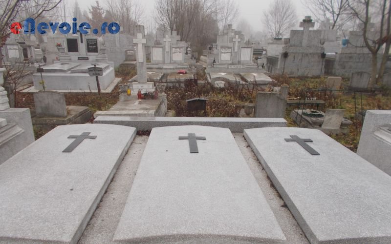 Imagine din portofoliu de lucrari