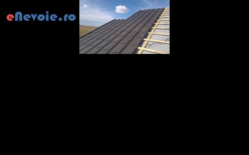 4acoperisuri-constructii--marius-buda-1v.png