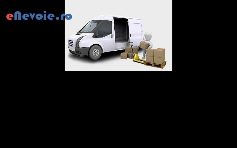 servicii-mutari-inchirieri-masini-de-transport-transport-marfuri-transport-depozitare--mereumotor-2232-a25.png