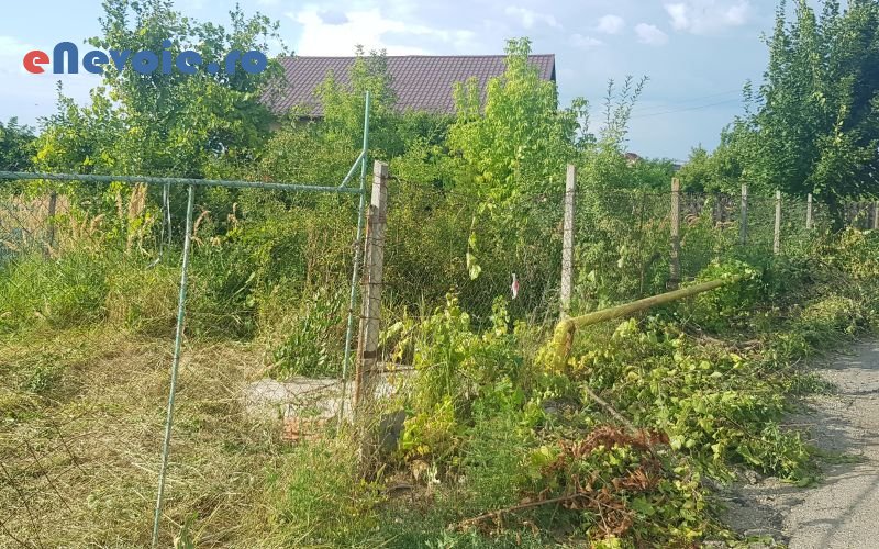 1curatenie-casa-si-gradina--mihai-ursu-87.png
