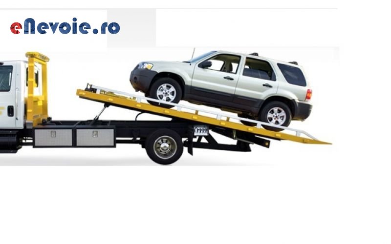 Imagine din portofoliu de lucrari