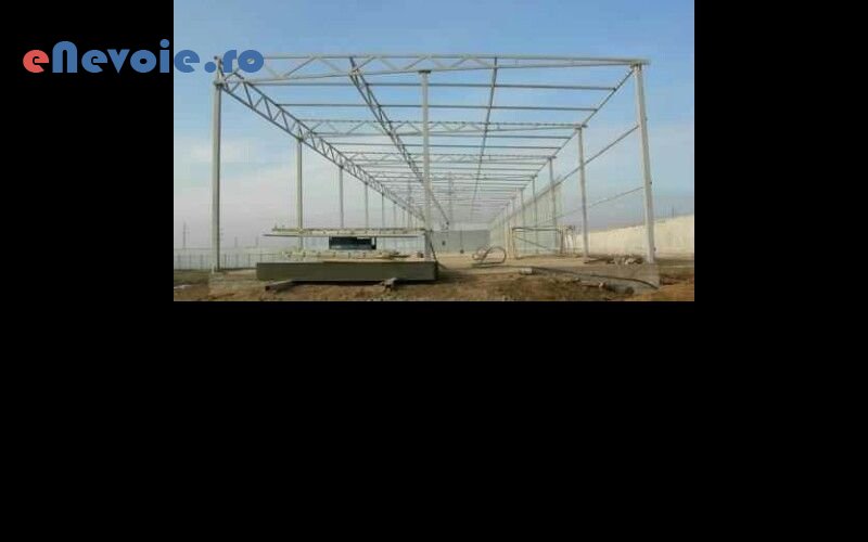 1hale-metalice-constructii--moise-madalin.png