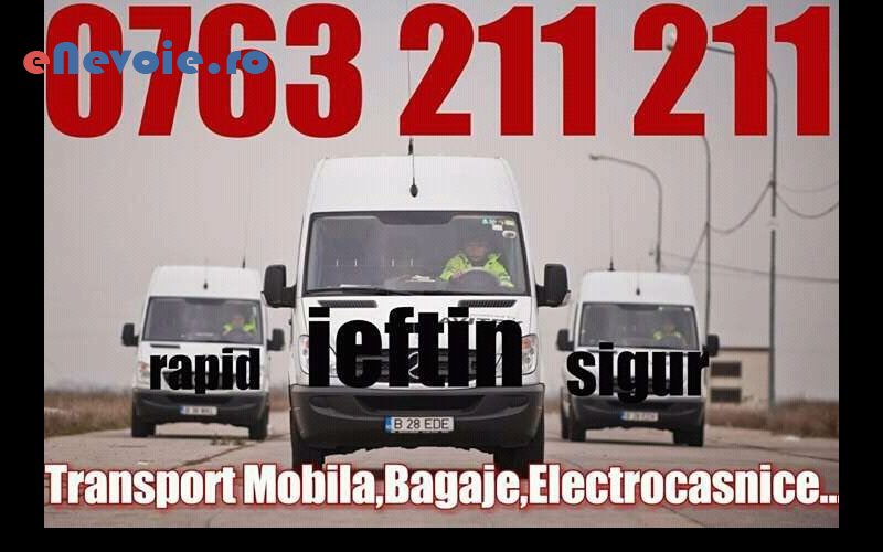 5servicii-mutari-transport-marfuri-transport-depozitare--nicolae-vanoga-.png