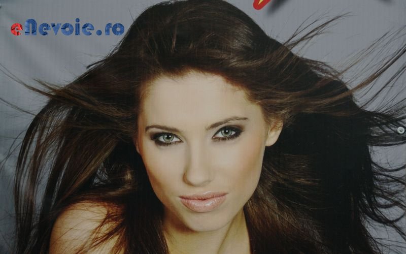 Imagine din portofoliu de lucrari