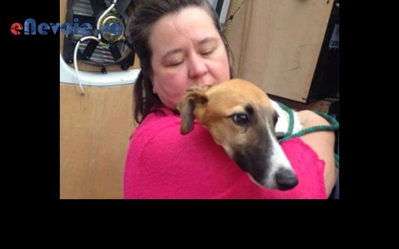 Imagine din portofoliu de lucrari