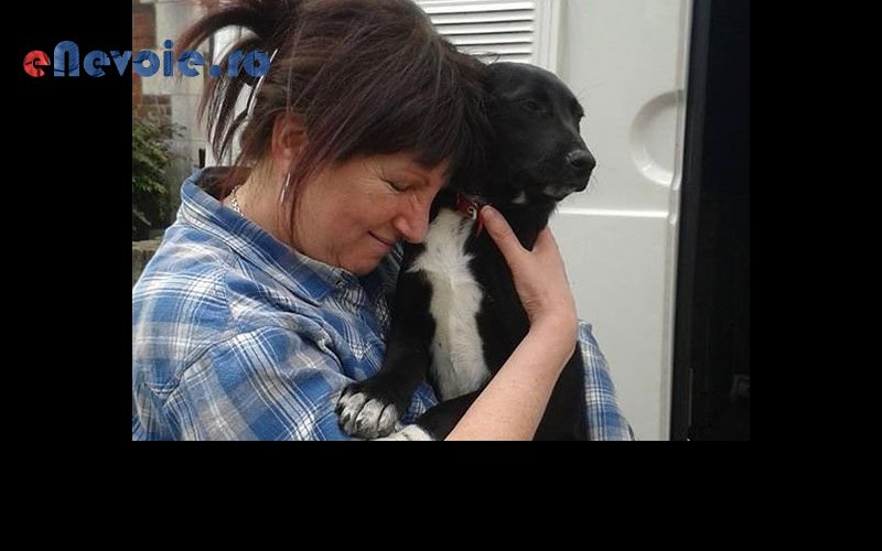 Imagine din portofoliu de lucrari