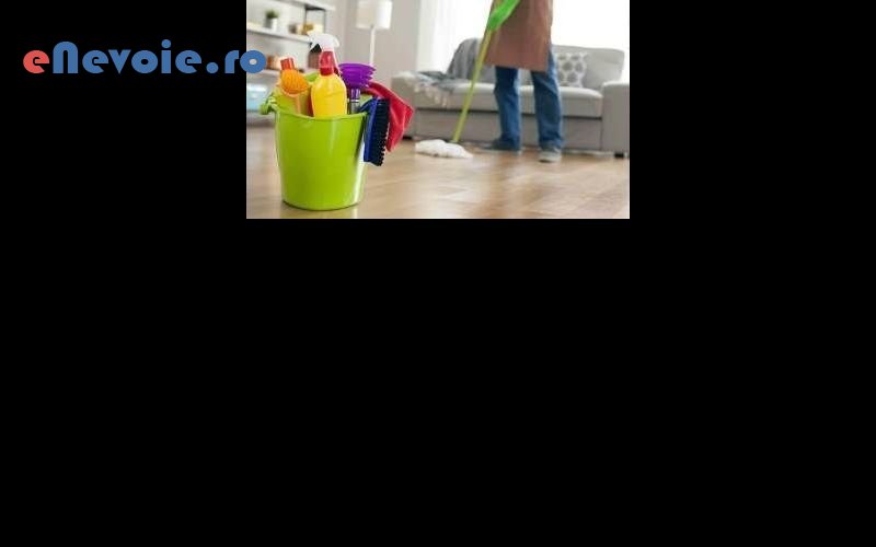 1curatenie-casa-si-gradina--perfect-clean.png