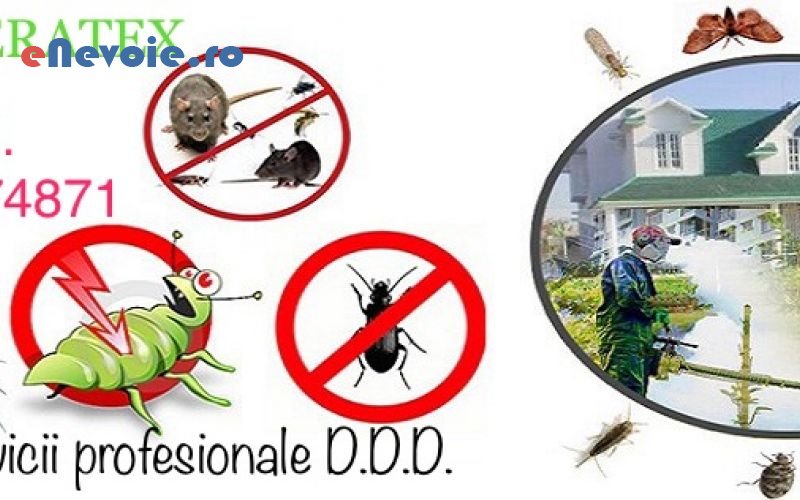 1dezinsectie-si-deratizare-casa-si-gradina--sc-3d-master-deratexk.png